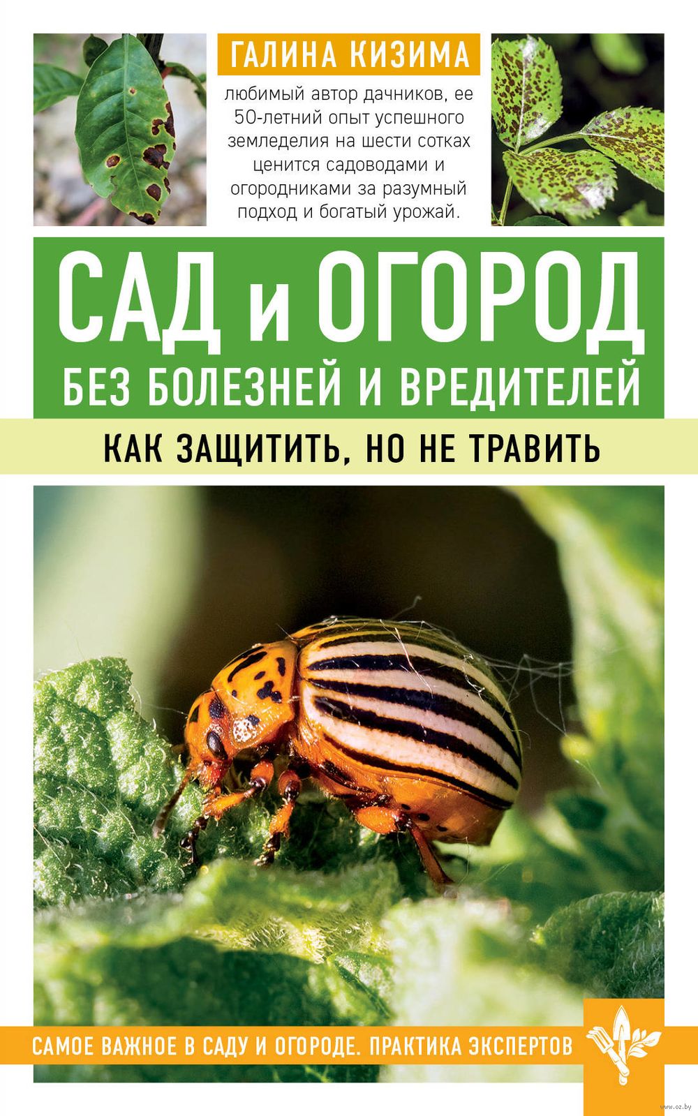 Полезные насекомые в саду: как привлечь насекомых, которые уничтожат вредителей