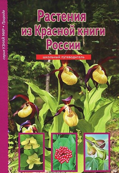 Rasteniya Iz Krasnoj Knigi Rossii Yuliya Dunaeva Kupit Knigu Rasteniya Iz Krasnoj Knigi Rossii V Minske Izdatelstvo Timoshka Baltijskaya Knizhnaya Kompaniya Na Oz By