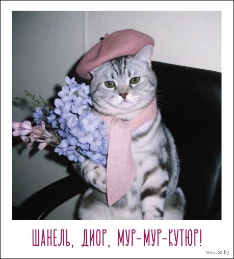 Открытка "Мур-мур-кутюр"