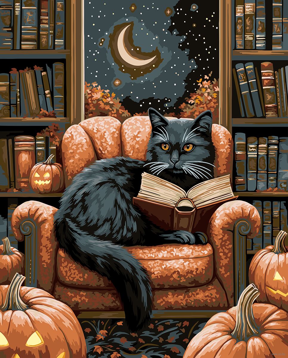 Картина по номерам "Тайна книги черного кота" (400х500 мм)