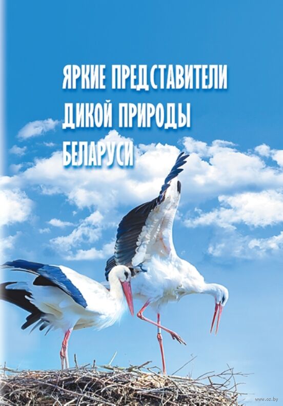 Яркие представители дикой природы Беларуси