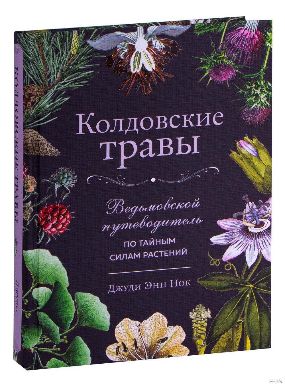 Колдовские травы. Ведьмовской путеводитель по тайным силам растений Джуди  Нок - купить книгу Колдовские травы. Ведьмовской путеводитель по тайным  силам растений в Минске — Издательство Эксмо на OZ.by