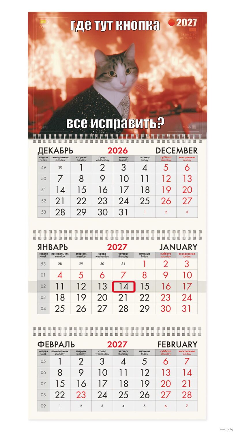Календарь настенный квартальный на 2027 год  "Котик" (29,5х68,2 см)