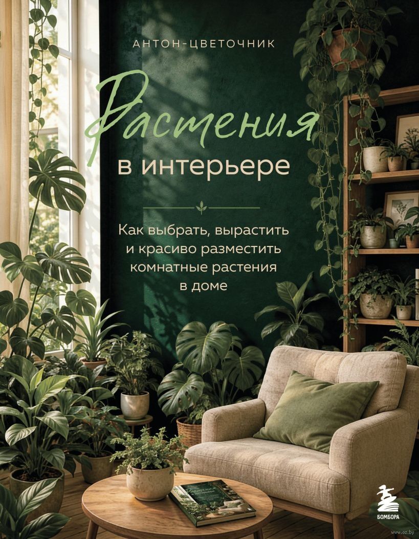 Растения в интерьере. Как выбрать, вырастить и красиво разместить комнатные растения в доме