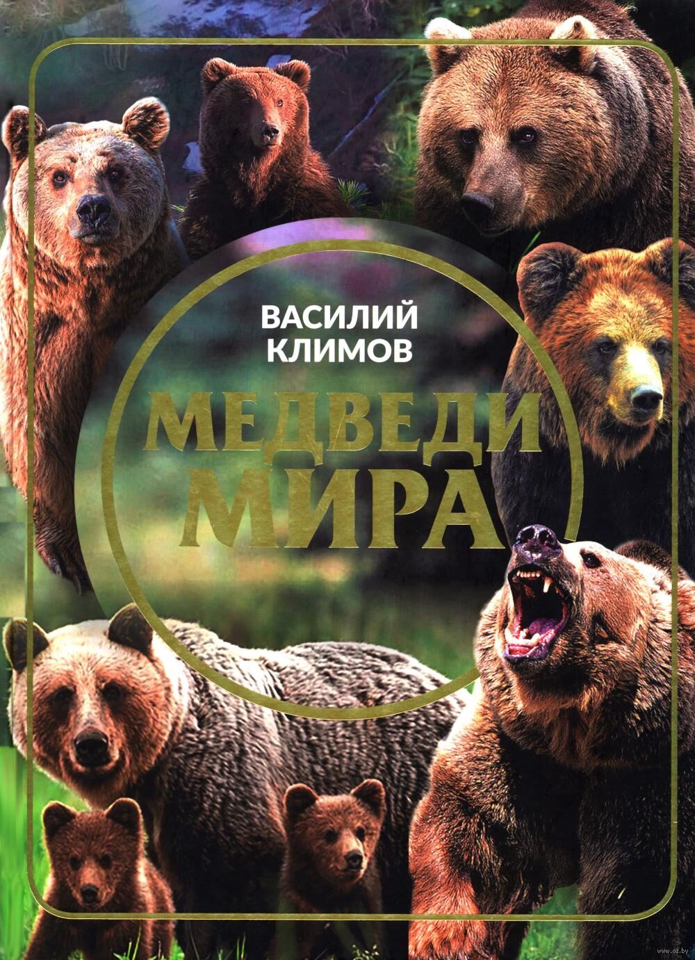 Медведи мира
