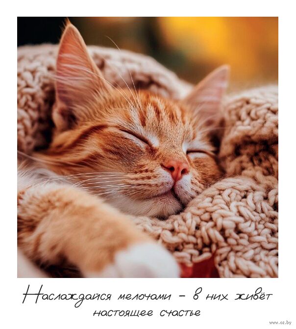 Открытка "Наслаждайся мелочами"