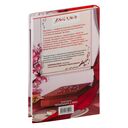 Золотая клетка — фото, картинка — 19