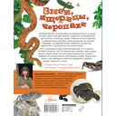 Змеи, ящерицы, черепахи — фото, картинка — 11