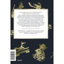 Культы Древнего Египта. От обожествленного солнца и золотой плоти царя до птицы Бену и бога Нуна — фото, картинка — 6