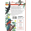 Непевчие птицы. Средняя полоса европейской части России. Определитель с голосами птиц — фото, картинка — 1