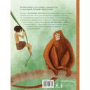 Книга джунглей. Маугли — фото, картинка — 9