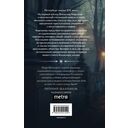 Тайный архив Корсакова. Оккультный детектив. Граф Аверин. Колдун Российской империи. Комплект из 2 книг — фото, картинка — 1