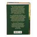 Проклятие бронзовой лампы — фото, картинка — 27