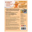 Знаменитый рыжий кот. Раскраска — фото, картинка — 4