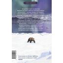 Дело теневого сыска — фото, картинка — 8