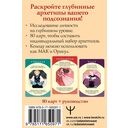 Архетипы. Союзники и разрушители. Источник вашей силы — фото, картинка — 1