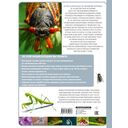 Насекомые — фото, картинка — 16