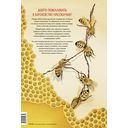 Королевство насекомых. Интерактивная книга с окошками о жизни муравьёв, ос и пчёл — фото, картинка — 4