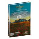 Волшебник Изумрудного города — фото, картинка — 17