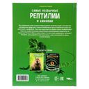 Самые необычные рептилии и амфибии — фото, картинка — 5