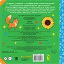 Цвета — фото, картинка — 1