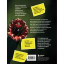 Развитие игрового интеллекта. Современные подходы к обучению детей игровому мышлению в футболе — фото, картинка — 16