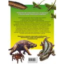 Доисторические первопроходцы. Выпуск 3. Гиганты карбона и перми — фото, картинка — 16