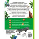 Животные — фото, картинка — 1