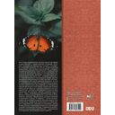 Бабочки — фото, картинка — 16