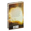 Тайна мертвого ректора. Книга 1 — фото, картинка — 18