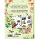 Рассказы о природе — фото, картинка — 13