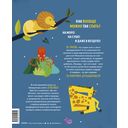 Как спит пчела? Удивительные факты о животных и их суперспособностях — фото, картинка — 5
