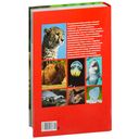 Моя большая книга о животных — фото, картинка — 13