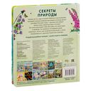 Секреты природы — фото, картинка — 4