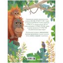 Малыш орангутанг. Приключения в тропиках — фото, картинка — 7