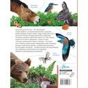 Красная книга России — фото, картинка — 14