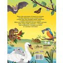 Животные каждый день — фото, картинка — 1