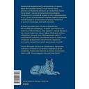 О пользе волшебства. Смысл и значение волшебных сказок — фото, картинка — 30