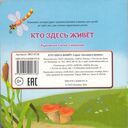 Загляни в окошко. Кто здесь живёт — фото, картинка — 2