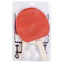 Набор для настольного тенниса (2 ракетки+3 мяча+сетка; арт. SH012) — фото, картинка — 1