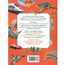 Большая детская энциклопедия. 500 вопросов и ответов — фото, картинка — 4