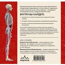 Анатомия человека. Компактный атлас. Опорно-двигательный аппарат — фото, картинка — 16