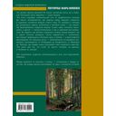 Популярные жанры живописи. Пейзаж, натюрморт, портрет — фото, картинка — 1