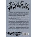 Тройной полярный сюжет — фото, картинка — 2