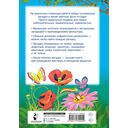 1001 загадка — фото, картинка — 1