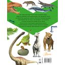 Энциклопедия динозавров и самых необычных доисторических животных — фото, картинка — 14