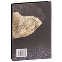 Минералы и полезные ископаемые Беларуси — фото, картинка — 1