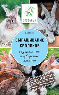Выращивание кроликов