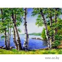 Алмазная вышивка-мозаика "Березы у озера"