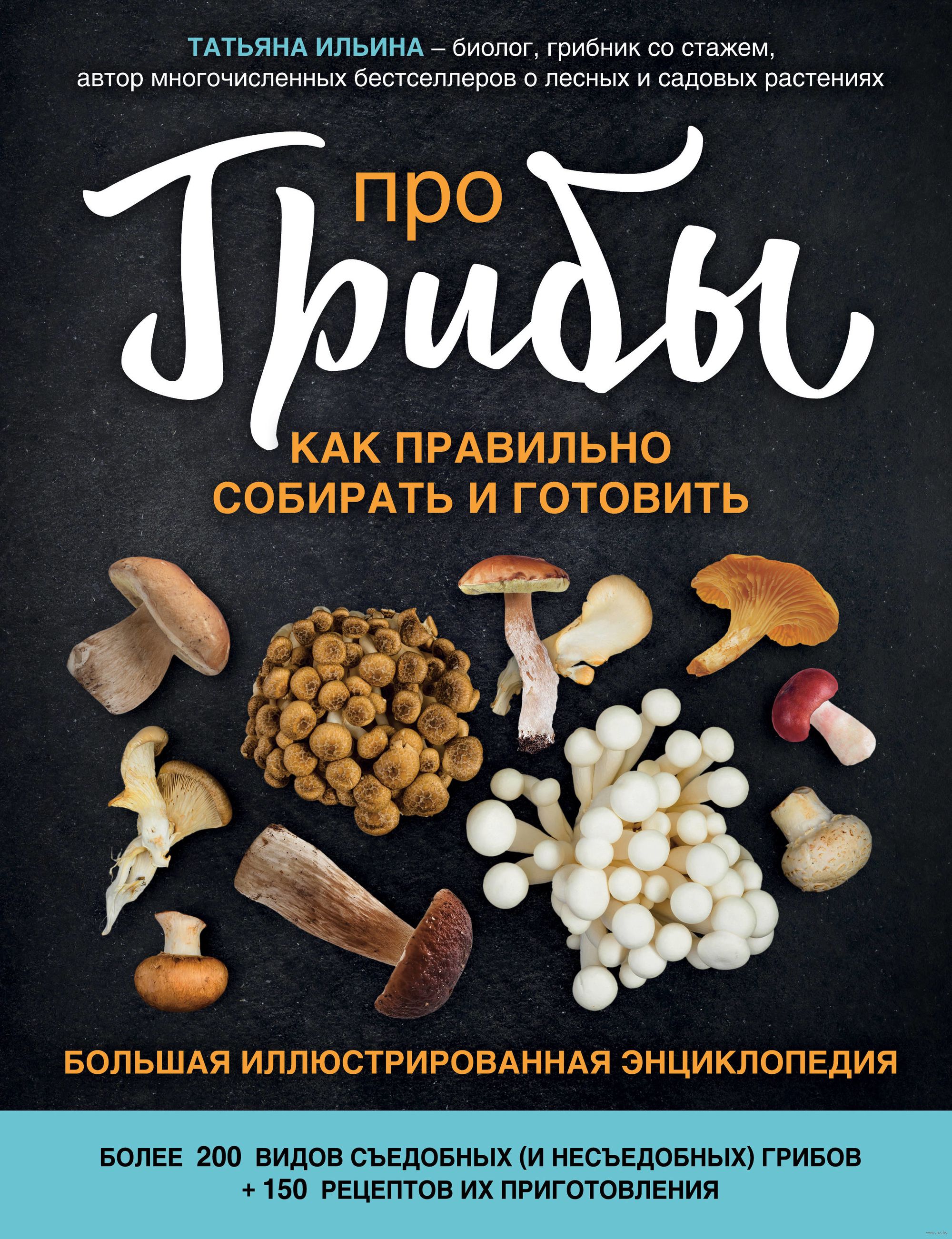 Что лечит ядовитый грибЖенские радости Что лечит ядовитый грибЖенские радости